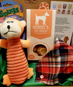 Ogie The Orange Bear Box