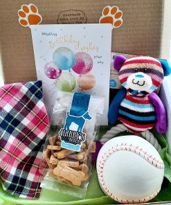 Birthday Girl Doggie Box