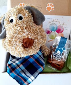 Birthday Boy Doggie Box